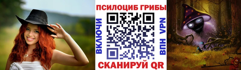 Псилоцибиновые грибы мицелий  кракен ССЫЛКА  Саки 