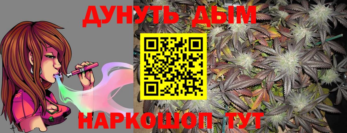 Саки  Канабис планчик  Канабис тримм  Вход с VPN  Бошки марихуана ГИДРОПОН  Бошки Шишки сатива 
